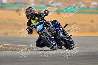 media/Jan-25-2025-2WTD (Sat) [[229346f7e8]]/C Group/Session 3 (Turn 4)/